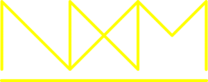 Logo Next Move sportkampen